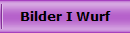 Bilder I Wurf
