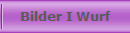Bilder I Wurf