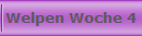 Welpen Woche 4