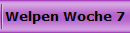 Welpen Woche 7
