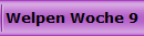 Welpen Woche 9