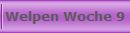 Welpen Woche 9
